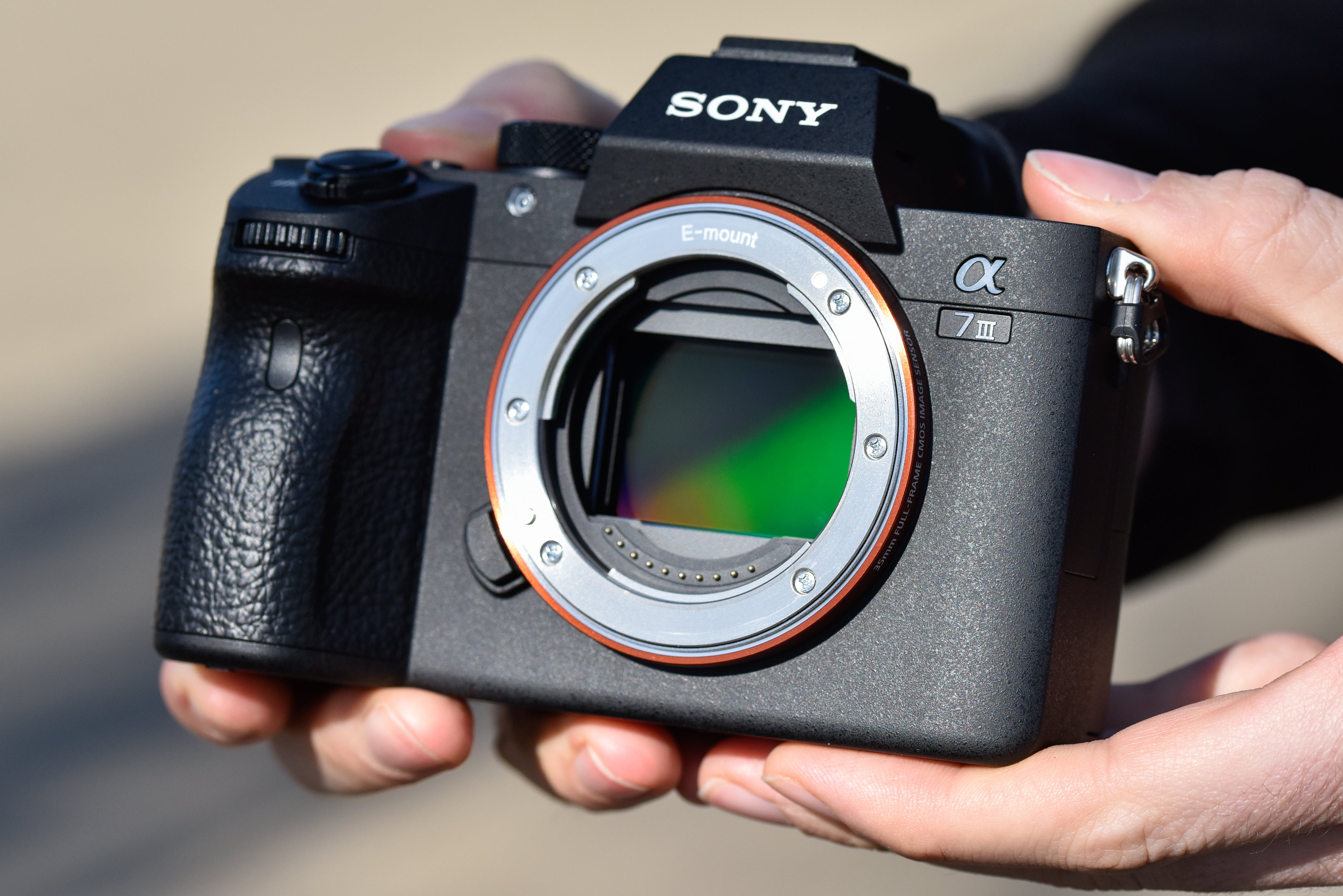 So sánh Sony A7C và Sony A7 III: Lựa chọn máy ảnh nào phù hợp với bạn?